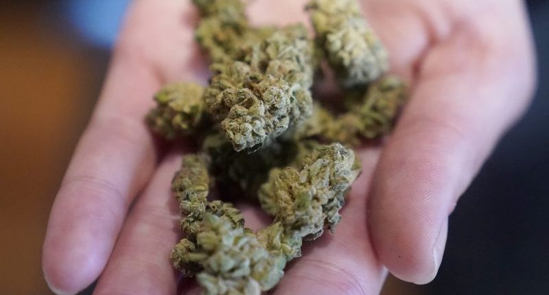 The rise of legal online cannabis companies