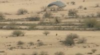 Skydiver falling in desert landscape.