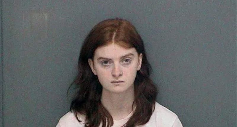 Transgender Indiana student planned 'Parkland part two' high school shooting: Docs