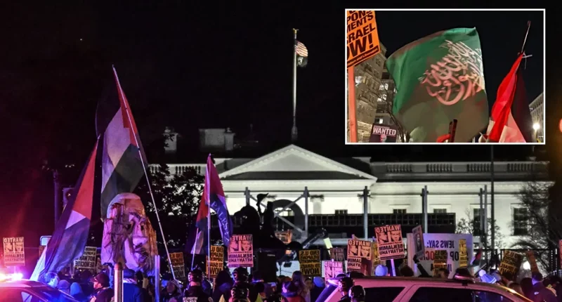 Trump-Netanyahu meeting: Radical protesters wave apparent Hamas flag outside White House