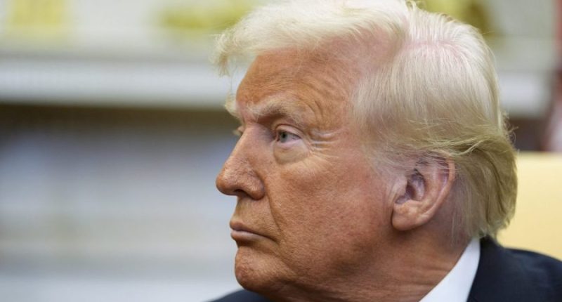 Trump: Palestinians wouldn't have right to return to developed Gaza