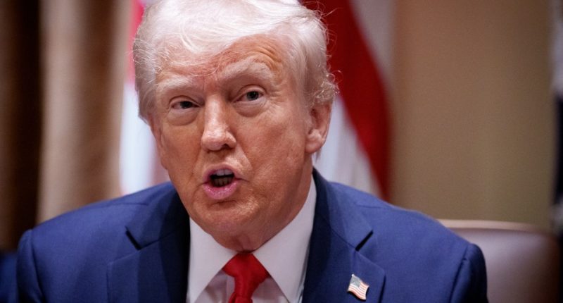 Close-up of Donald Trump speaking at a cabinet meeting.