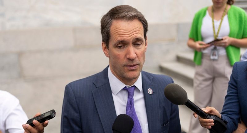 Trump Ukraine policy looks like an episode of 'The Sopranos': Democratic rep