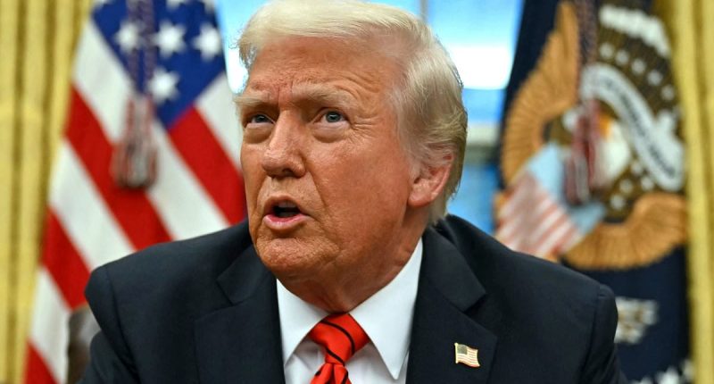 Trump brings back plastic straws and says paper ones can 'explode'