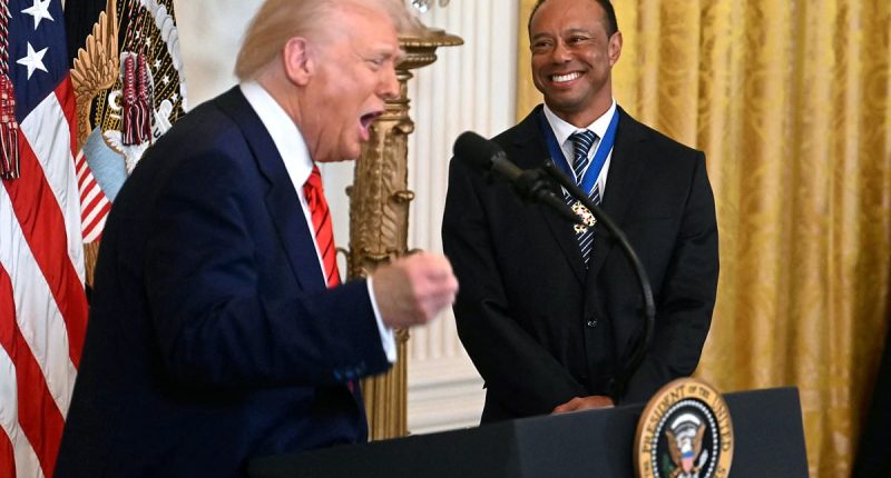 Trump brings out 'incredible' Tiger Woods at Black History Month event