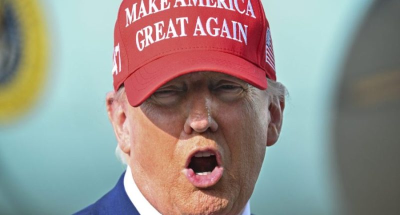 Trump declares NY 'saved' from congestion pricing: 'Long live the king!'