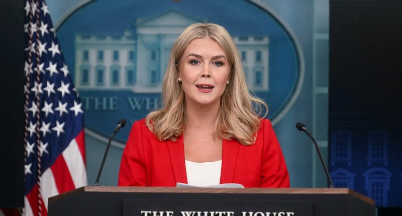 Trump goes ballistic on 'radical left' AP as he takes over press pool
