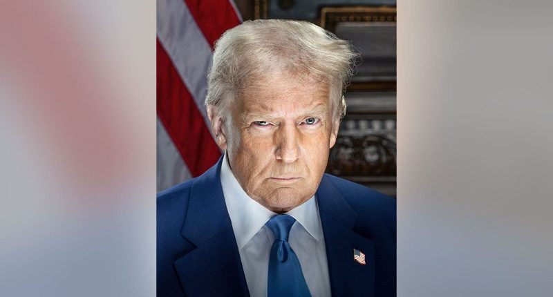 Trump sanctions on ICC protects US military and government officials, former NSC official says