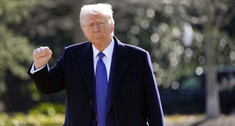 Trump says Putin 'wants to stop fighting' in Ukraine