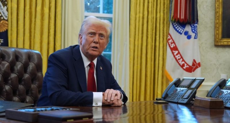 Trump signs order to create US sovereign wealth fund, eyeing TikTok purchase