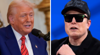 Trump suggests Musk needs to be 'more aggressive'