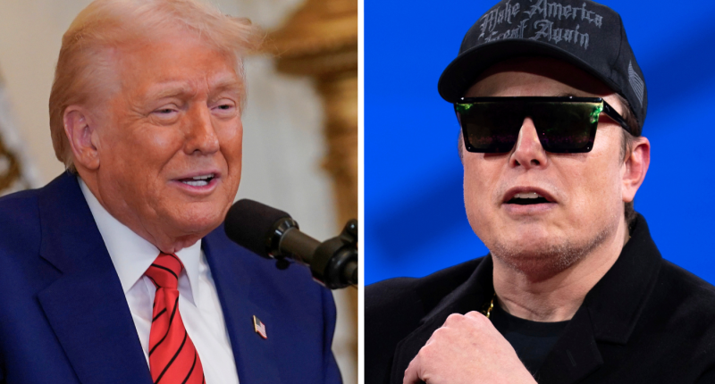 Trump suggests Musk needs to be 'more aggressive'