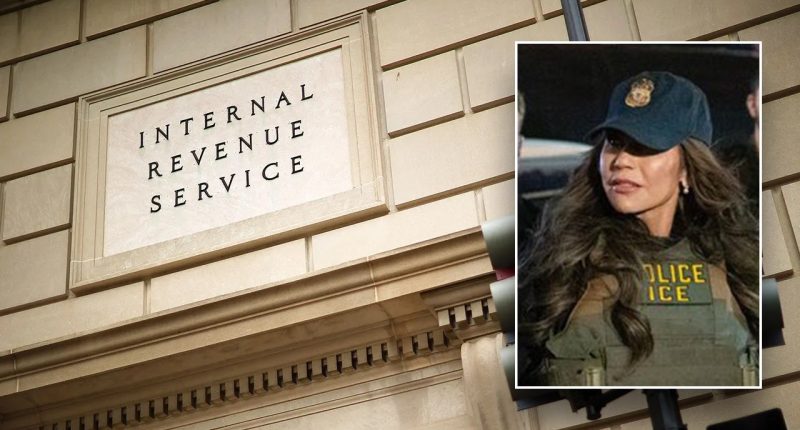 Trump’s Department of Homeland Security to deputize IRS agents for immigration enforcement