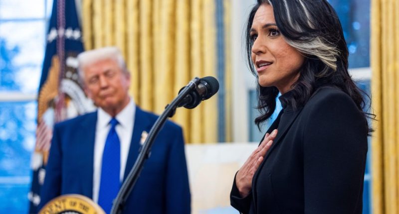Tulsi Gabbard giving a speech in the Oval Office.