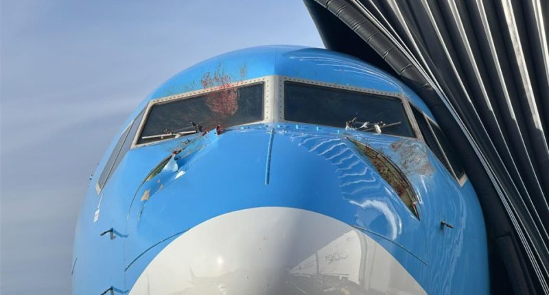 Airplane nose damaged from a bird strike.
