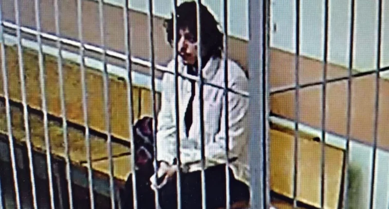 US citizen detained on drug smuggling charges in Russia released ahead of talks between Moscow, Washington