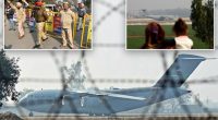 US military plane lands in India carrying illegal migrants