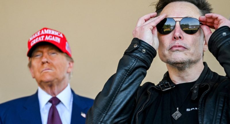 Elon Musk adjusting his sunglasses with Donald Trump in the background.