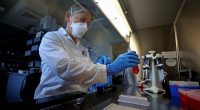 USDA working to rescind terminations for fired officials working on bird flu efforts