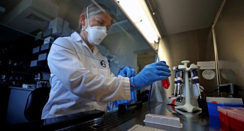 USDA working to rescind terminations for fired officials working on bird flu efforts