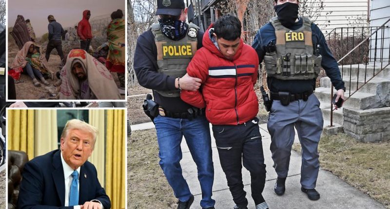 Venezuela to take back illegal migrants -- including Tren de Aragua gang members: Trump