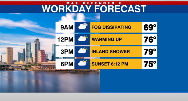 Warm w/ foggy mornings likely this week