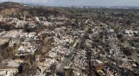 Wealth divide will steepen as climate change spikes insurance costs, report finds