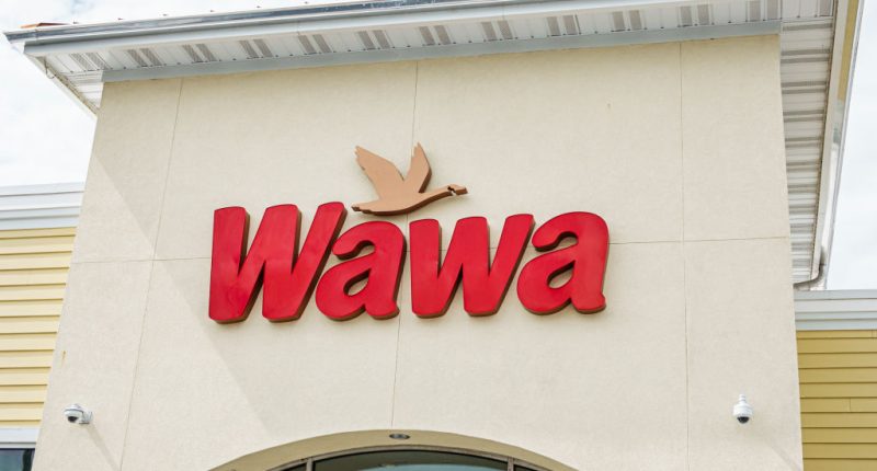 What does 'Wawa' even mean? The company offers up a hint