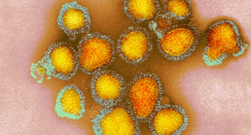 What is influenza A, the type of flu making people so sick right now?