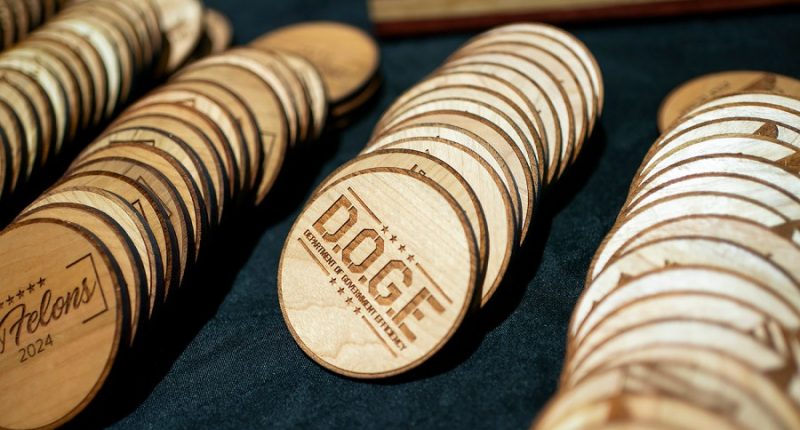 Who is Amy Gleason, the interim administrator of DOGE?