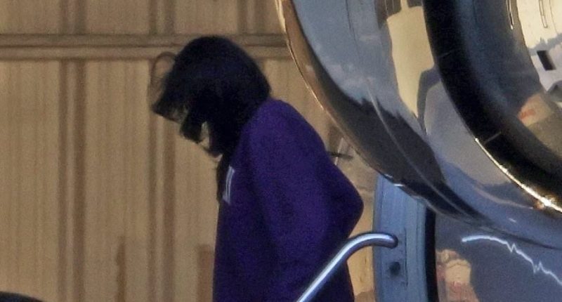 Windswept Meghan Markle arrives back in California on private jet