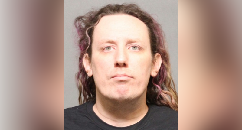 Woman arrested after explosives discovered at Tesla dealership