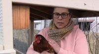 Woman holding a chicken in front of a chicken coop.
