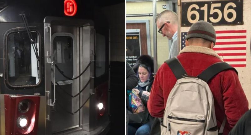 Woman who suffered heart attack on subway died after police forced to chase down Bronx train: sources