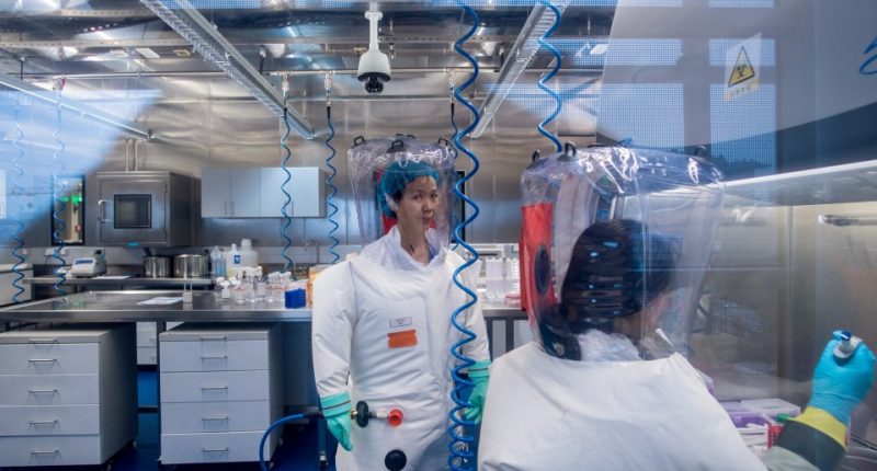 Two virologists in a P4 laboratory wearing protective suits.