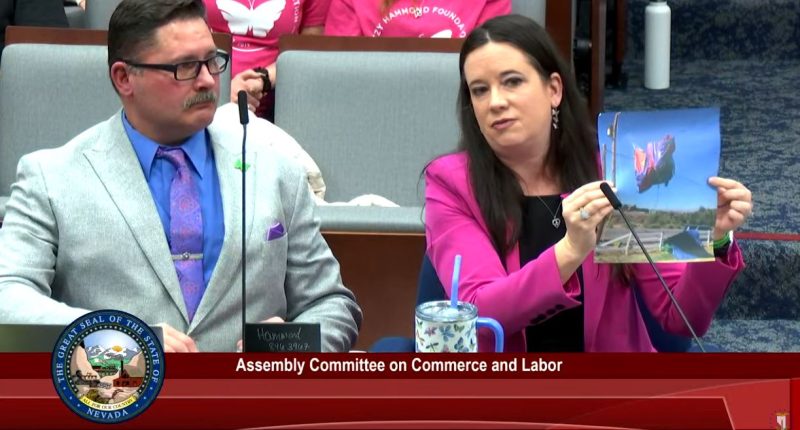 'Lizzy's Law' would bring bounce house regulations to state law