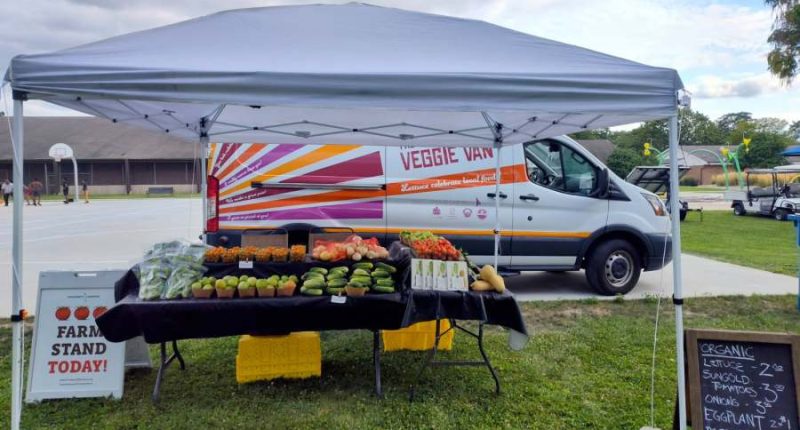 'My life turned into a roller coaster ride': Champaign woman clean, educated and employed after help from non-profit