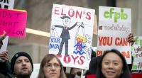 'We're about to get annihilated': Musk, DOGE descend on consumer bureau