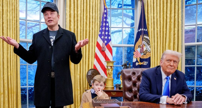 14 states file a lawsuit arguing Elon Musk's authority at DOGE is unconstitutional