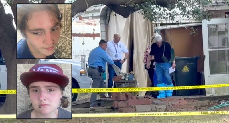 17-year-old teams up with boyfriend to murder grandma: Cops