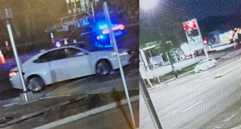 2 children killed, mother hospitalized in Sarasota hit-and-run