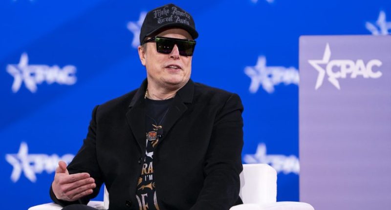 Elon Musk speaks during the Conservative Political Action Conference (CPAC) at the Gaylord National Resort and Convention Center in National Harbor, Md., on Feb. 20, 2025.