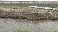 $5M trash boom gets first real test as storm hits San Diego-Tijuana border region