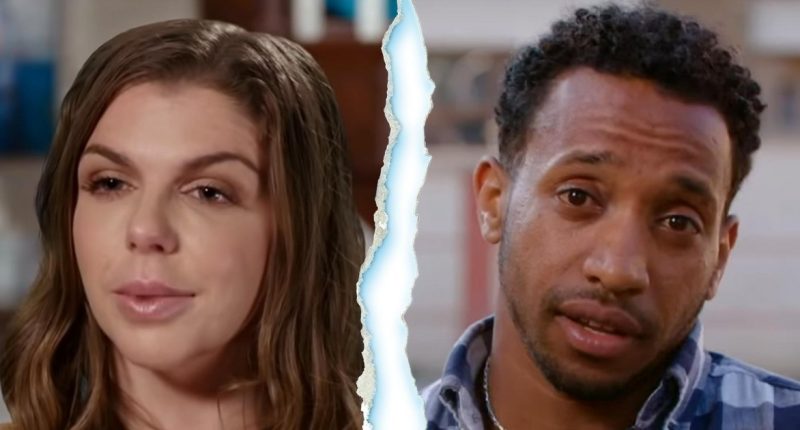 90 Day Fiance's Ari and Bini Split, Agree to Divorce on Last Resort