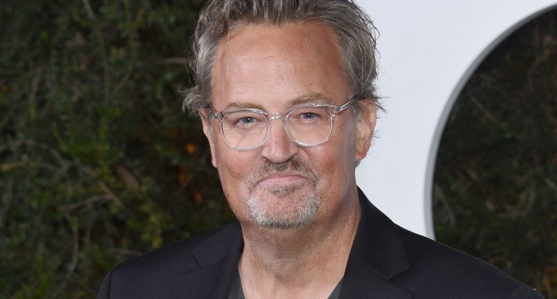 Matthew Perry in front of a step and repeat at an event.