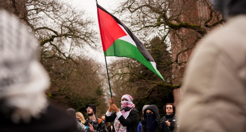 Arab, Muslim Americans blast Trump's 'grotesque' Gaza proposal