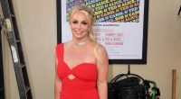 Are Britney Spears and Paul Richard Soliz Still Together?