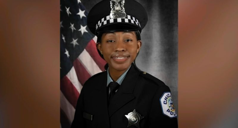 Aréanah Preston suspect Joseph Brooks asks judge to throw out statements made to police in murder of Chicago officer