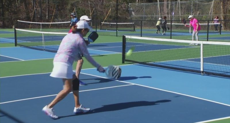 Augusta commissioners react to pickleball facility proposal