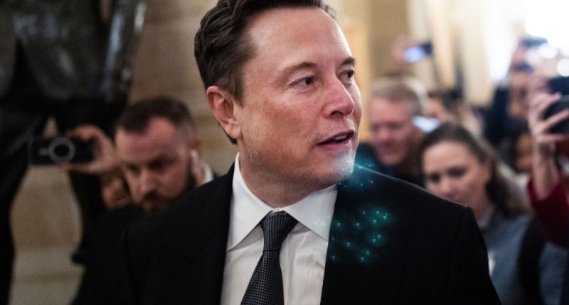 Besides Elon Musk, who else is running DOGE?